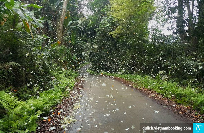 du lich vuon quoc gia cuc phuong