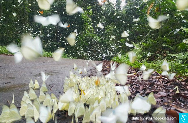 du lich vuon quoc gia cuc phuong