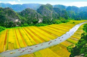 Tour Hoa Lư – Tam Cốc – Cúc Phương 2N1Đ: Hành Trình Khám Phá Di Sản Ninh Bình