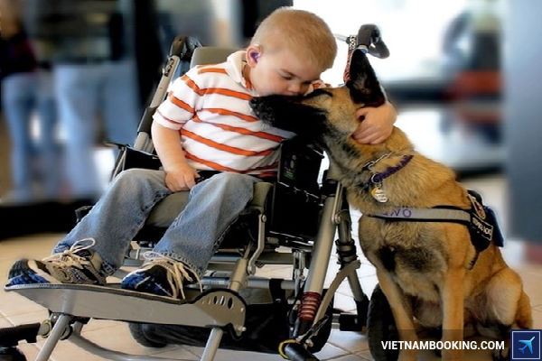 cac-dich-vu-ho-tro-dac-biet-cho-hanh-khach-cua-VNA-17-05-2017-2