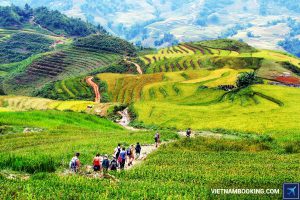 Điều kiện giá của các hạng vé Vietnam Airlines hành trình nội địa