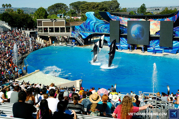 Du lịch Orlando gi&aacute; rẻ