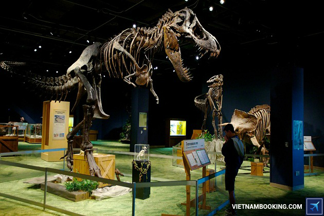 Du lịch kh&aacute;m ph&aacute; Orlando