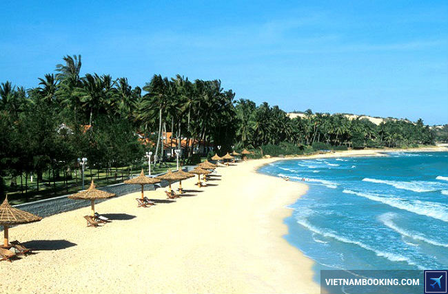 ve may bay di da nang gia re