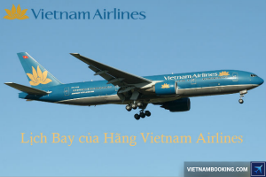 Cách tra cứu lịch bay Vietnam Airlines chặng trong nước