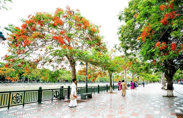 đặt vé máy bay đi Hải Phòng giá rẻ