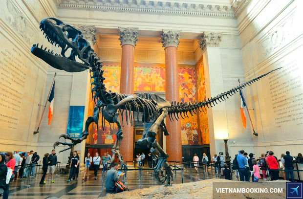 American Museum of Natural History San-ve-may-bay-Sai-Gon-New-York-gia-re-nhat-3-29-6-2017