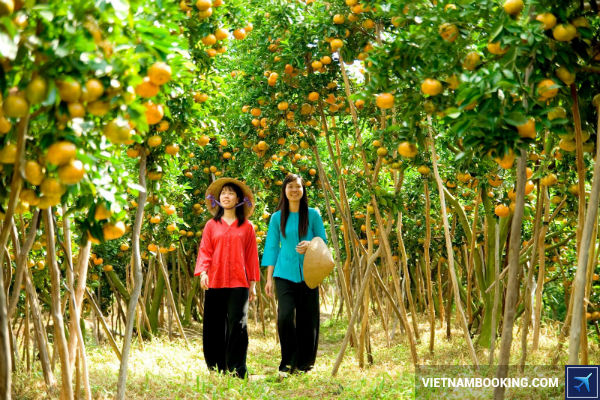 cap-nhat-gia-ve-moi-nhat-cua-Vietnam-Airlines-di-Can-Tho-23-06-2017-2
