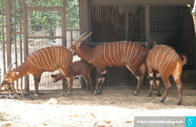du lich Phu Quoc thang 7