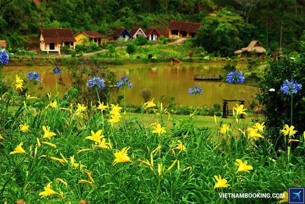 ve may bay sai gon da lat 