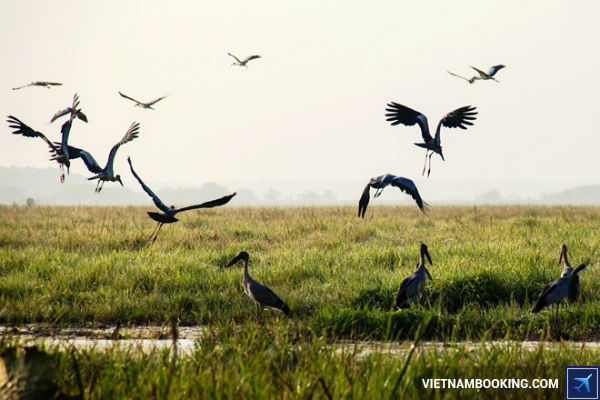 gia-ve-may-bay-tu-Can-Tho-di-Ca-Mau-cua-cac-hang-hang-khong-16-06-2017-3