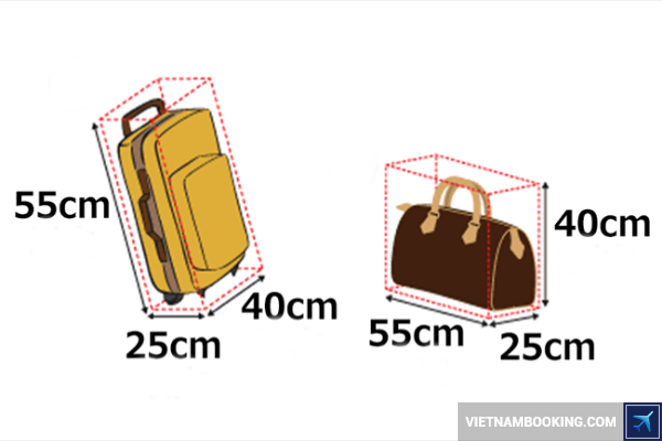 giai-dap-thac-mac-xoay-quanh-quy-dinh-hanh-ly-cua-hang-ANA-02-06-2017-1