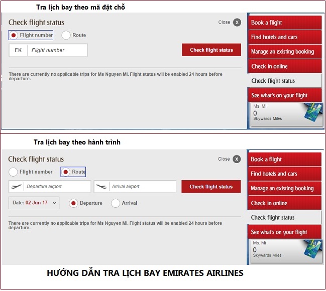 lich-bay-hang-emirates-2-6-2017a