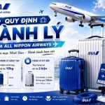 Checklist sắp đồ thông minh theo đúng quy định hành lý ANA