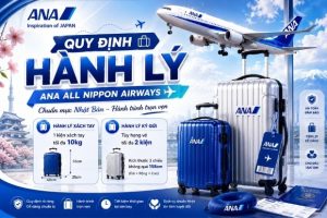 Quy định hành lý của hãng All Nippon Airways mới nhất 2026