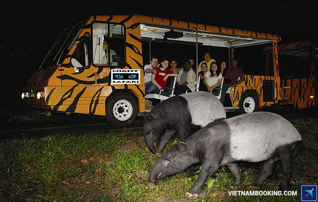 ve may bay singapore hang vietnam airlines