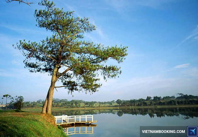 ve may bay gia re di da lat