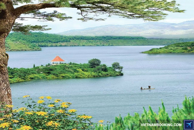 ve may bay vinh pleiku