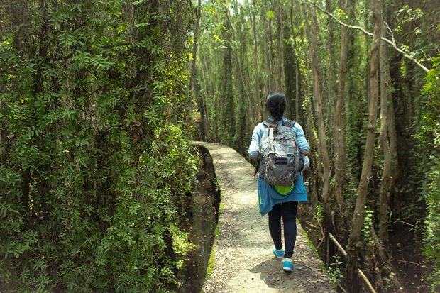 book ve may bay di long an