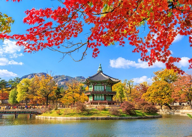 xin visa thuong mai Han Quoc