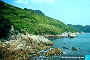 Đảo Nam Á–Góc nhỏ bình yên tại Hong Kong