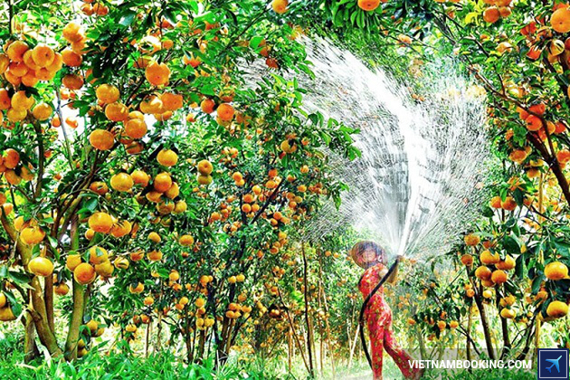 Du lịch Cần Thơ