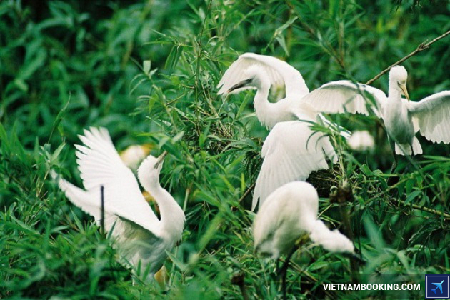 Du lịch Miền Tây