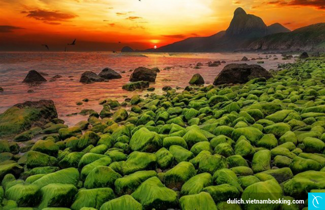 du lich con dao nhu the nao