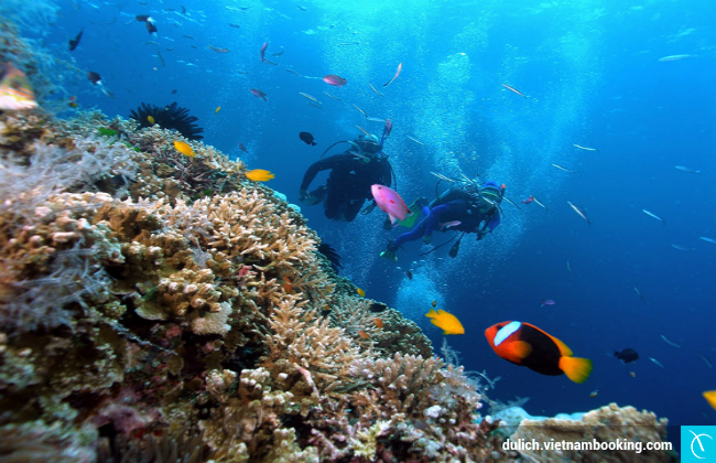 kinh nghiem du lich Con Dao