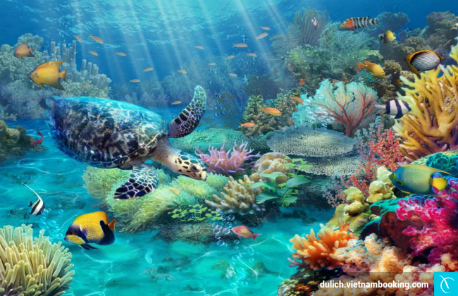 bieu tuong du lich Con Dao