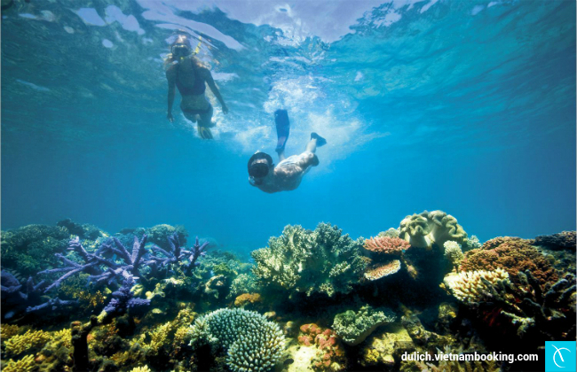 du lich sai gon con dao