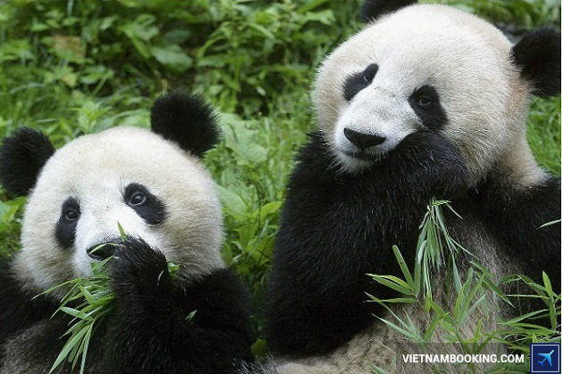 Điểm du lịch Đông Nam Á