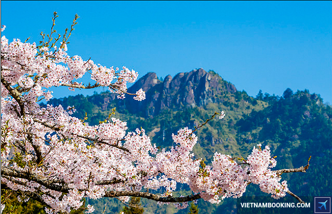 du lich dai loan mot minh