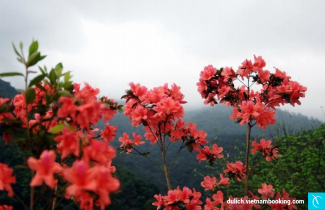 lich trinh du lich hue 1 ngay