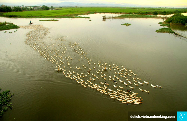 du lich hue trong 1 ngay