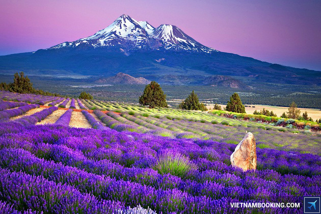 Du lịch Nhật Bản