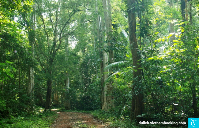 du lich Phu Quoc gia re