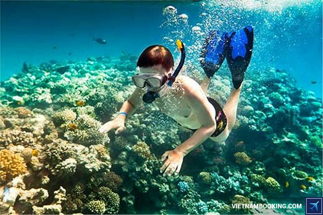 San hô đảo Gầm Ghì