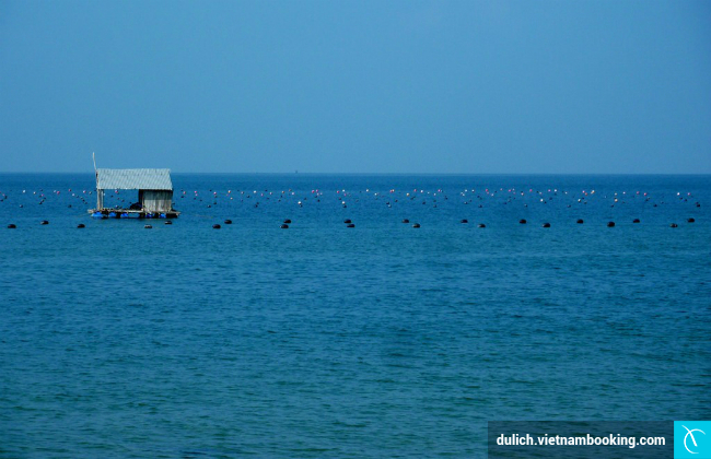Nên đi du lịch Phú Quốc thời điểm nào du lich Phu Quoc gia re