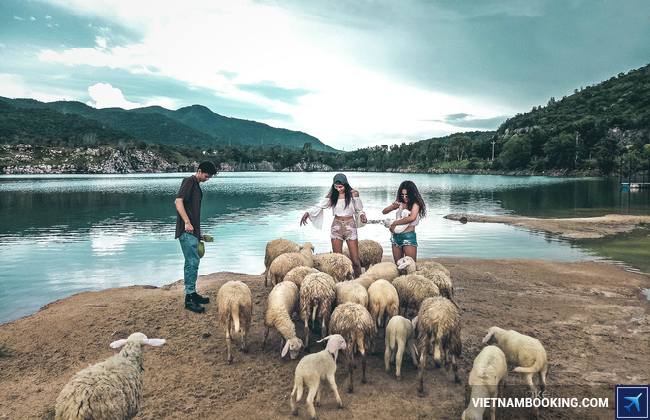 Phương tiện đi du lịch Vũng Tàu du lich vung tau cam nang tu a den z