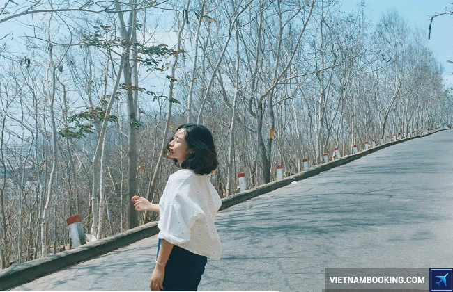 du lich vung tau nen di dau