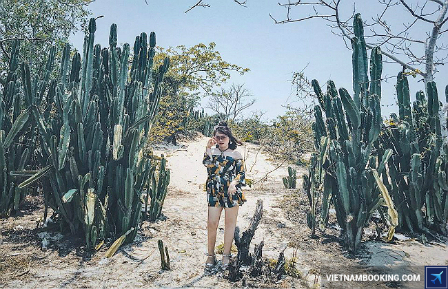 kinh nghiem du lich vung tau tu tuc