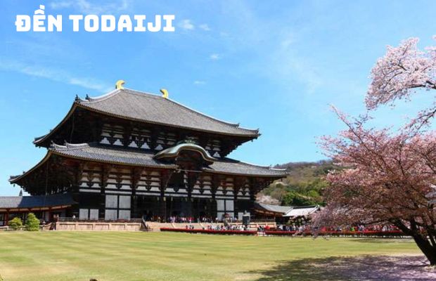 Tour Cung Đường Vàng Nhật Bản 5N5D | HCM – Osaka – Nara – Yamanashi – Tokyo