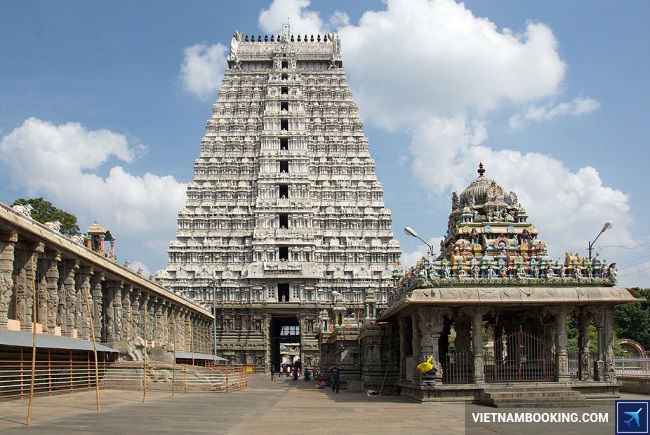 ve may bay di an do gia re