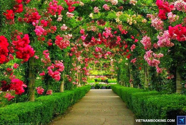 ve may bay di portland