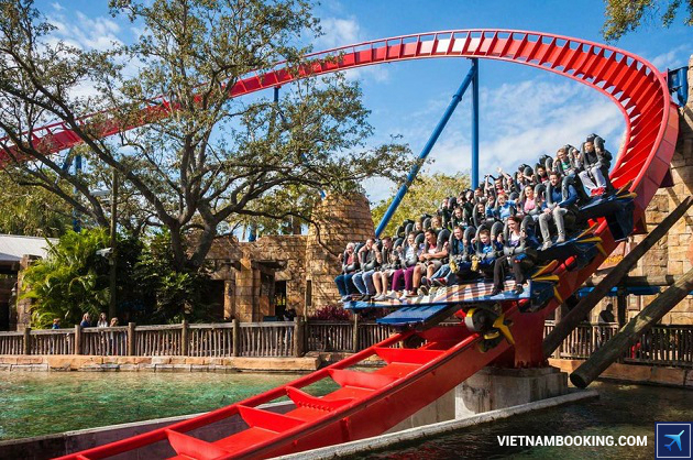 ve may bay di tampa gia re