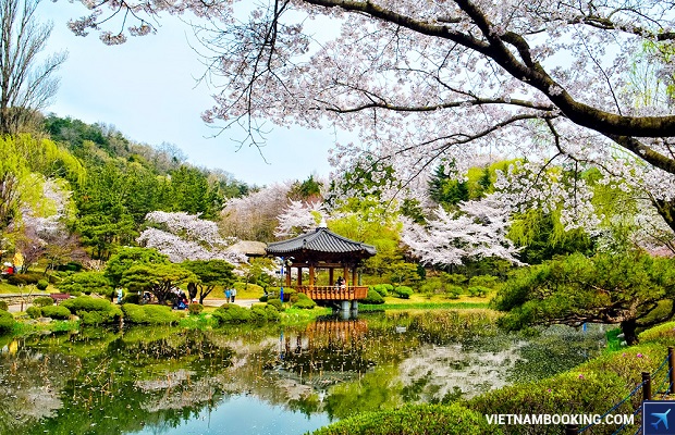 xin visa di han quoc kho hay de