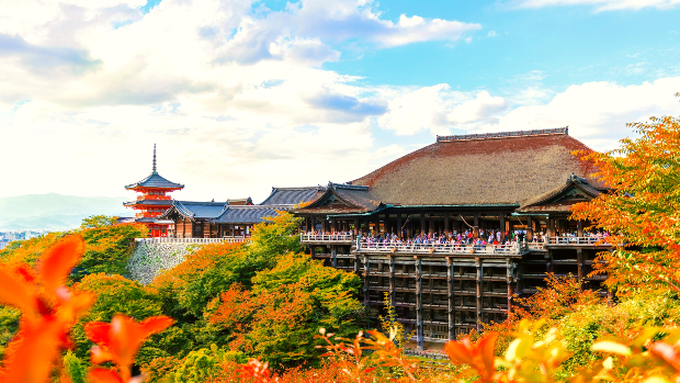 Tour du lịch Nhật Bản từ Hà Nội: Tokyo – Fuji – Nagoya – Kyoto – Osaka mùa hoa anh đào 6N5Đ