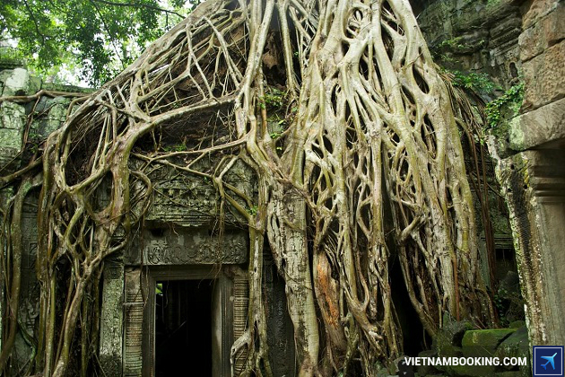 Chiêm ngưỡng Ta Prohm