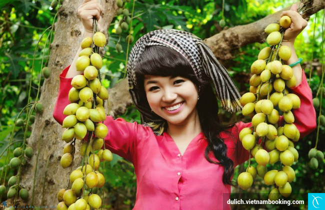 dich vu du lich can tho